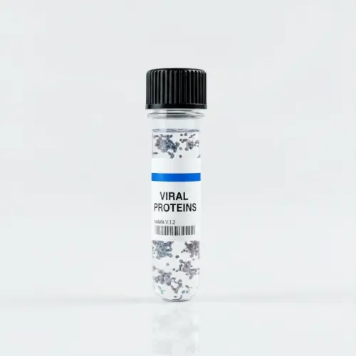 [GEN - VHBV232-1mg] HBV core 