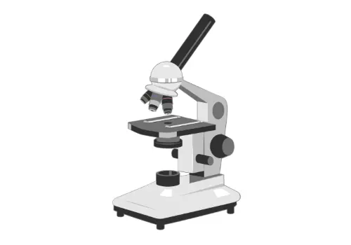 Binocular Microscope with 4 Objectives & 1W LED